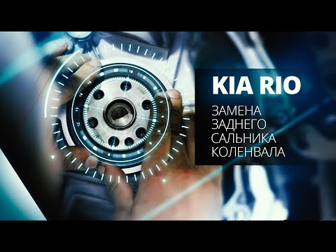 ЗАМЕНА ЗАДНЕГО САЛЬНИКА КОЛЕНВАЛА. БОЛЯЧКА у Kia Rio (Кия Рио). АзияМИКС Серпухов