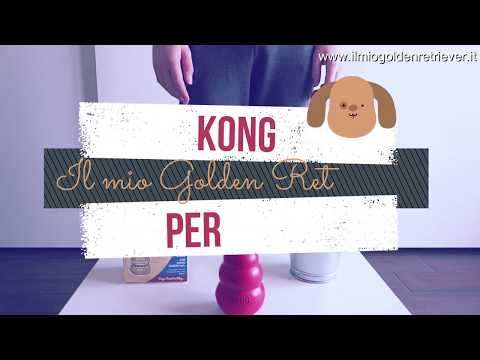 Kong gioco per cani: come funziona