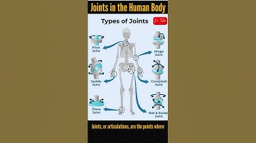 Classification of Joints in the Human Body #body #joints #human #health #shorts #reels