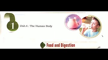 Class 4 - Science - Chapter 1 - Food & Digestion Part 1