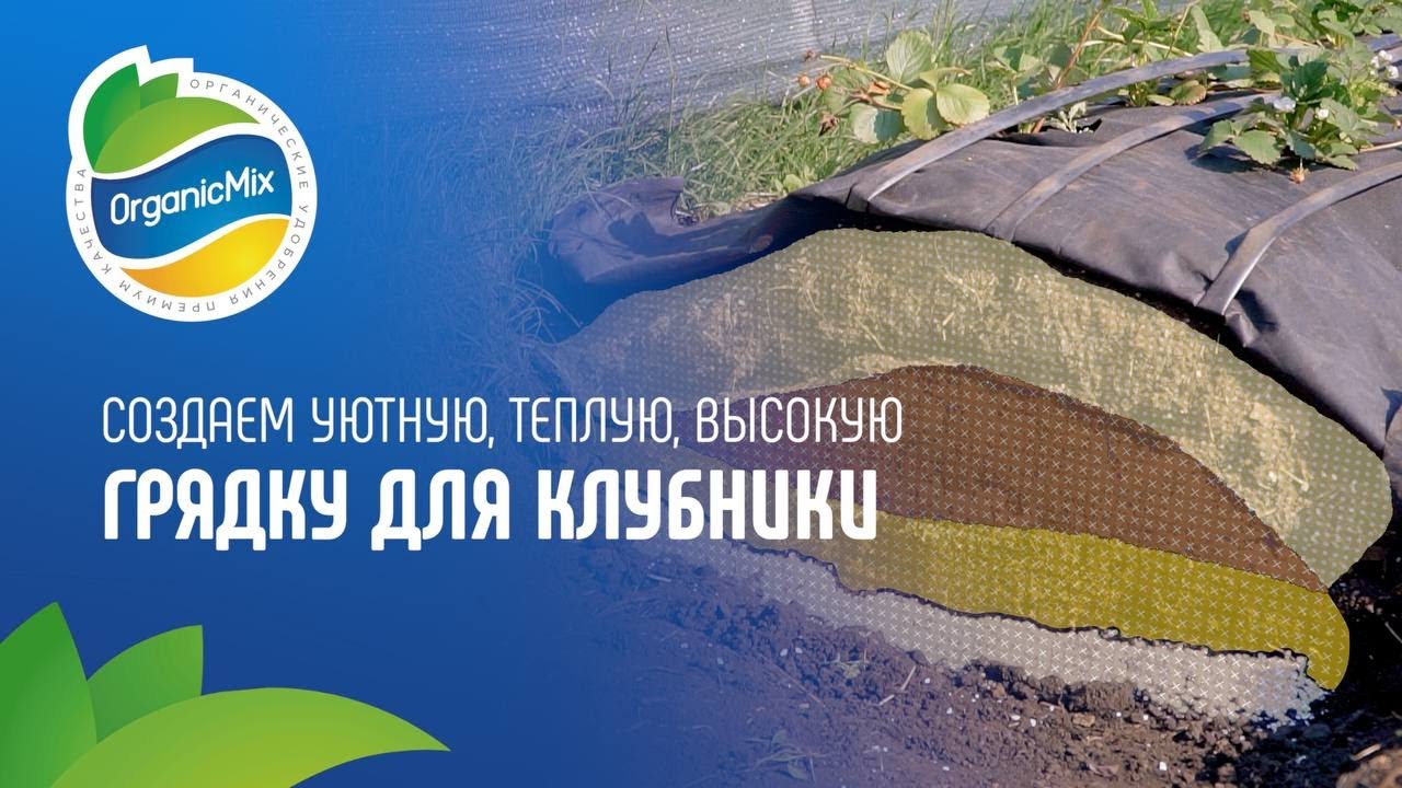 Создаём уютную, теплую, высокую грядку для клубники с Органик Микс ...