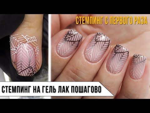 Видео: Отпечатывается ли почтовый штемпель в тот же день?