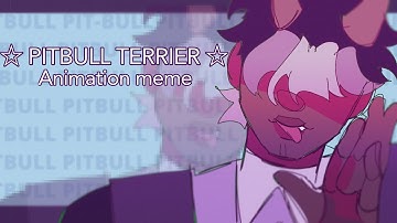 ☆ PITBULL TERRIER ☆ | ANIMATION MEME | OC ANIMATION | TOONSQUID TEST