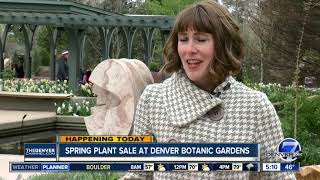 Denver Botanic Gardens hosting its Spring Plant Sale