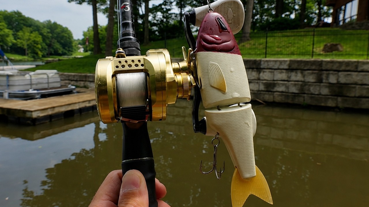 Fishing Glide Baits for Big Shallow Summer Bass!