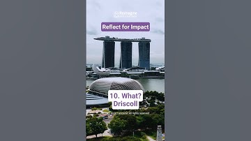 Driscoll: What, So what, Now what?
