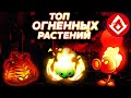 ТОП ОГНЕННЫХ РАСТЕНИЙ В Plants vs Zombies 2