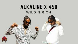 450 x Alkaline - Wild n Rich (WBT SOUND Mashup)