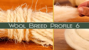 Hand Spinning Different Breeds: Southern Welsh Mountain Wool.