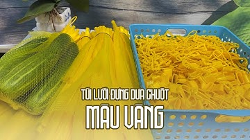 Túi lưới đựng dưa chuột màu vàng đẹp mắt/Tuiluoithanhha.com
