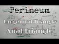 Perineum Anatomy | Part 2 | TCML Chart | The Charsi of Medical Literature