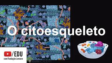 Como são formados os microtúbulos?