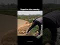 Inko dekh kar hassi nahi rukegi! 😂 Last wala toh... 💀 #shorts #memes #funnymemes #dogmemes #viral