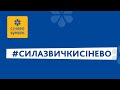 #СилаЗвичкиСінево