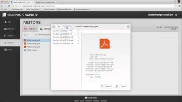 How to Restore a Google Drive File