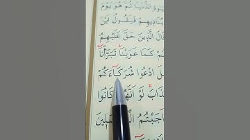 سورة القصص الأية 63 إلى 66 القارئ سعد الغامدي
