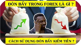 Đòn Bẩy Trong Forex Là Gì | Cách Sử Dụng Đòn Bẩy Trong Forex Để Kiếm Tiền