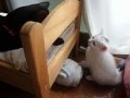 ベット越しの戦い(笑)