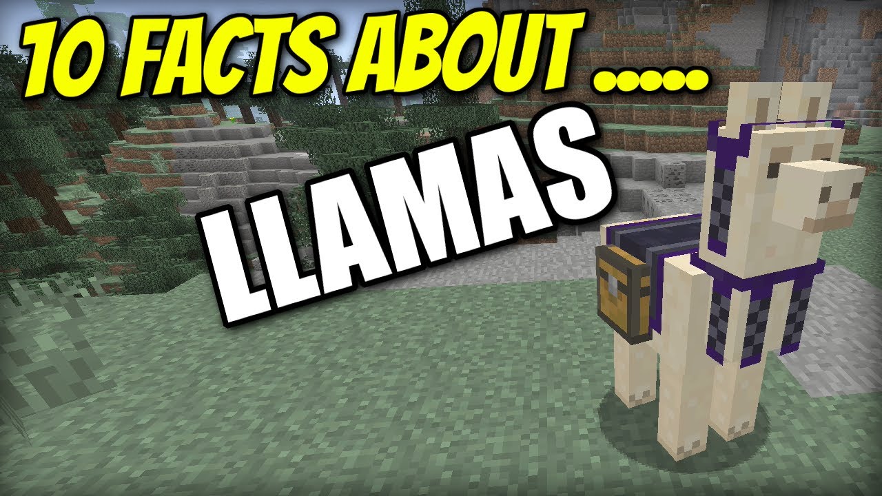 Can You Ride Llamas In Minecraft Ps4 10 Facts About Llamas Minecraft Xbox Ps4 Pe Ps3 Wii U Switch Youtube