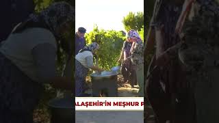 Üzüm Pekmezi Yapım Sırlarını Veriyoruz - Dikkat Ayvaz Şef Çıkabilir