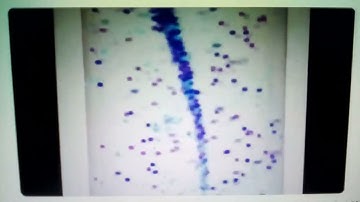 Barney Error 2 (TV Edition With Rocket Tornado Lamp) Part 3