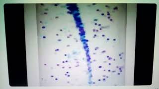 Barney Error 2 Tv Edition With Rocket Tornado Lamp Part 3