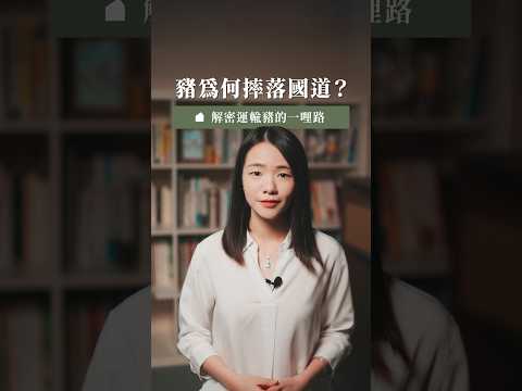 播放