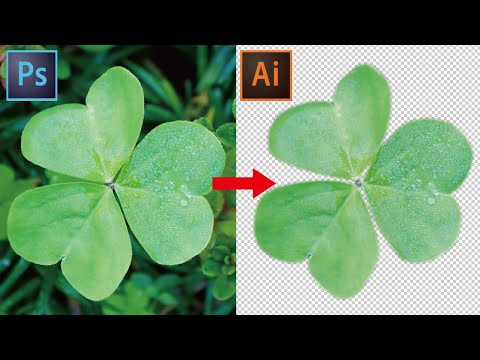 【綺麗】photoshop切り抜き自動選択ツール&イラレへの背景透明画像配置方法