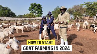 Things You Should Know Before Starting a Goat Farm  How To Start a Goat Farm In 2024