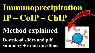 Immunoprecipitation : IP , CoIP , ChIP explained