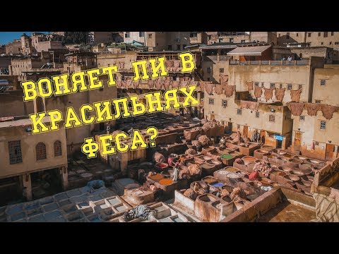 ВОНЯЕТ ЛИ В КРАСИЛЬНЯХ ФЕСА? / Там, где снимали сериал Клон /  Красильни Шуара (ChouaraTannery)