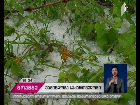 ძლიერმა სეტყვამ გორის რაიონის სოფლებში - ჯარიაშენსა და ვარიანში ნათესები დააზიანა