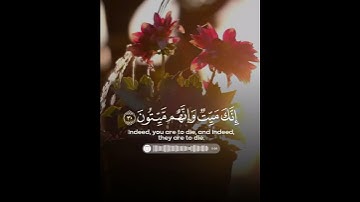 د.ماهر المعيقلي _ حالات واتس اب دينية_ سورة الزمر _ إنك ميت وإنهم ميتون....