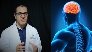 meningitis, encephalitis vs meningoencephalitis   PEV