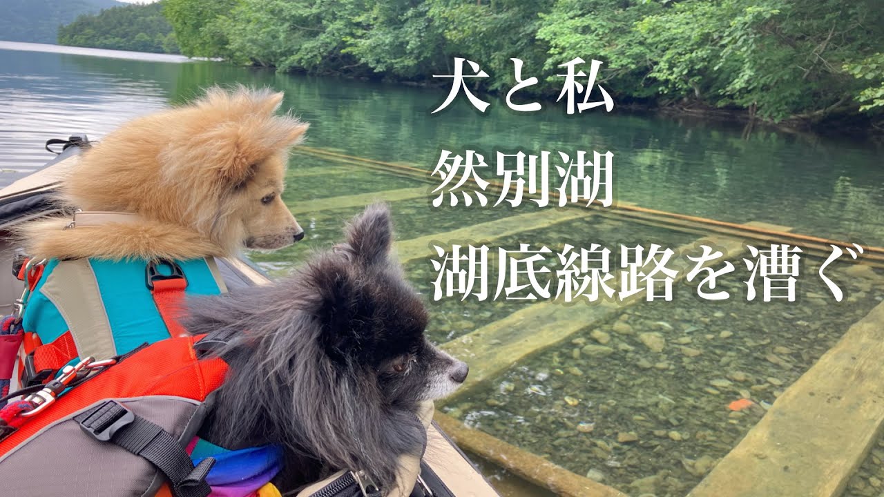 【北海道犬連れカヤック一人旅】4泊5日、十勝カヤック＆隙間バイト旅〜富良野経由で天空の湖、然別湖へ。カヤックで然別湖湖底線路を目指す！