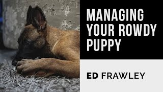 Ed Frawley on Managing Your Rowdy Puppy