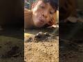 Blow and Don’t Blink, Tarzan is trying to wake up the trio of cute pill millipedes from the sand