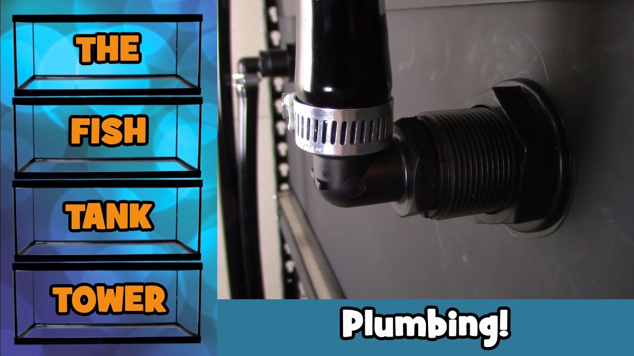 The Fish Tank Tower - Plumbing! 