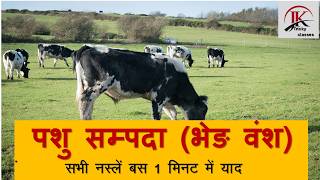 भेड़ वंश( एक पंक्ति में सभी नस्लें)पशु सम्पदा/JK tricky classes