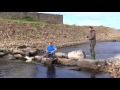 Middle of video