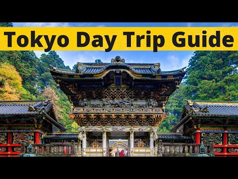 Vidéo: 8 excursions d'une journée au départ de Kyoto