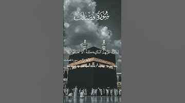 سورة فصلت #علي_جابر رحمه الله