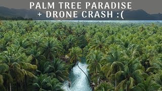 DIY Scooter Tour // Siargao Vlog // Travelling Full Time
