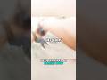 Officer FIRES At Family Dog 🤯