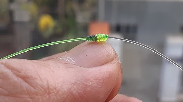 Hướng dẫn nối dây câu kiểu 2 | Blood Knot for connecting fishing line