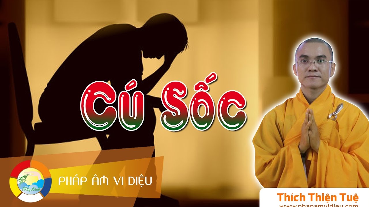 759. Cú Sốc ( Rất Hay) (ĐĐ Thích Thiện Tuệ)