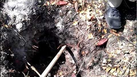 South Florida Hydric Soils UF