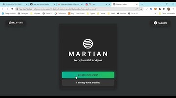 Aptos Testnet minting NFT With Matian Wallet