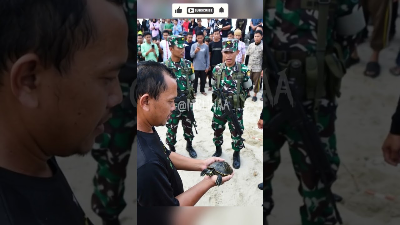 menjaga satwa tersesat 