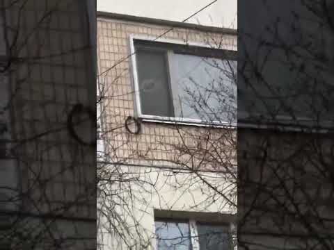 ПАПИЧА ВЯЖУТ СЪЕМКА